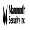 Mammoth Security Inc...