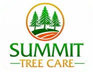 Summit Tree Care, LLC