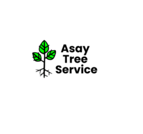 Asay Tree Service