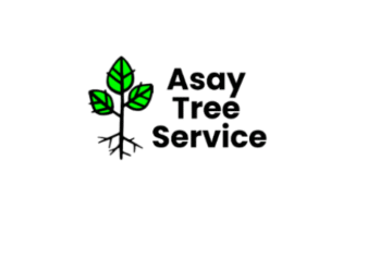 Asay Tree Service