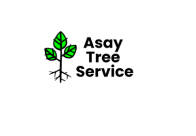 Asay Tree Service