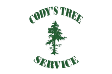 Codys Tree Service