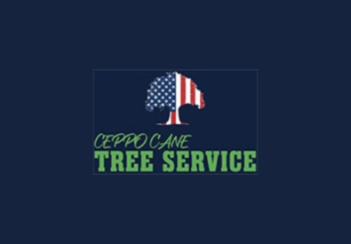 Ceppo Cane Tree Service
