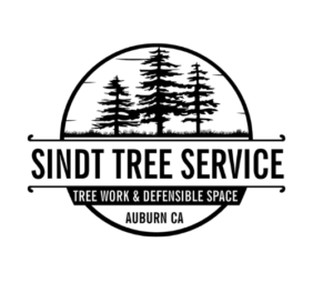 Sindt Tree Service