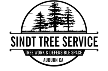 Sindt Tree Service
