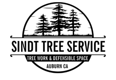 Sindt Tree Service