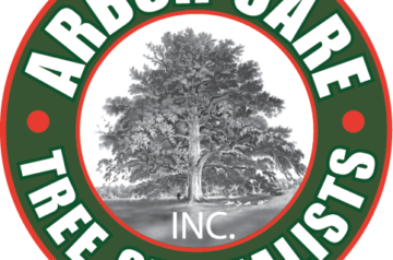 Arbor Care Tree Specialists