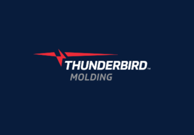 Thunderbird Molding ...