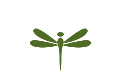 The Dragonfly Nest LLC