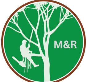 M&R Tree services