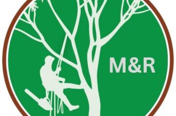 M&R Tree services