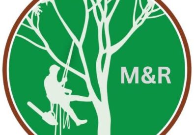 M&R Tree services