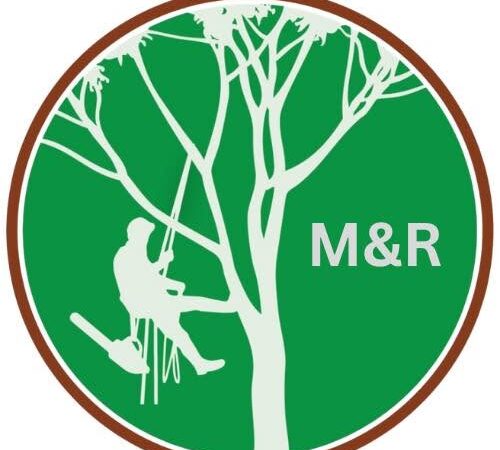 image not found